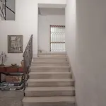 Piazza Delle Erbe Central Apartment